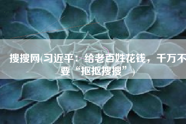 搜搜网(习近平：给老百姓花钱，千万不要“抠抠搜搜”)