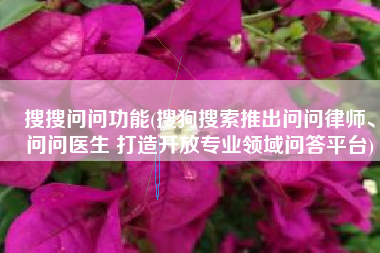 搜搜问问功能(搜狗搜索推出问问律师、问问医生 打造开放专业领域问答平台)