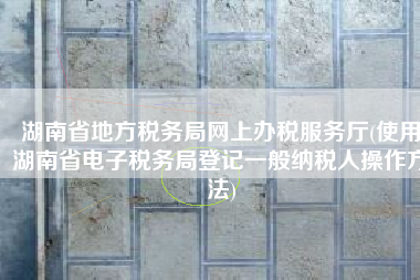 湖南省地方税务局网上办税服务厅(使用湖南省电子税务局登记一般纳税人操作方法)