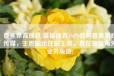 香蕉体育现状(英雄体育VSPN收购香蕉游戏传媒，王思聪出任副主席，意在加强海外业务版图)