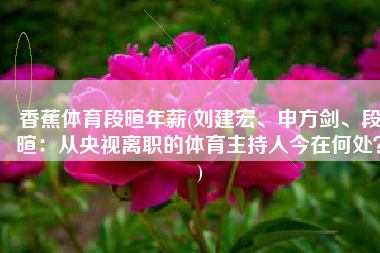 香蕉体育段暄年薪(刘建宏、申方剑、段暄：从央视离职的体育主持人今在何处？)