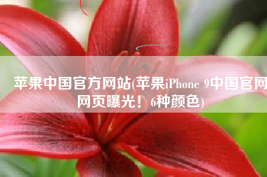 苹果中国官方网站(苹果iPhone 9中国官网网页曝光！6种颜色)