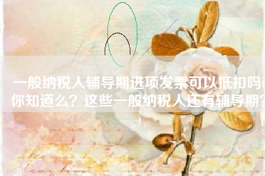 一般纳税人辅导期进项发票可以抵扣吗(你知道么？这些一般纳税人还有辅导期？)