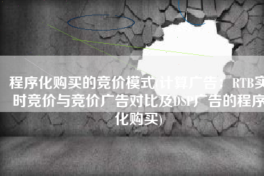程序化购买的竞价模式(计算广告：RTB实时竞价与竞价广告对比及DSP广告的程序化购买)