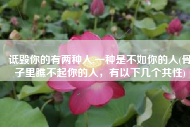 诋毁你的有两种人,一种是不如你的人(骨子里瞧不起你的人，有以下几个共性)