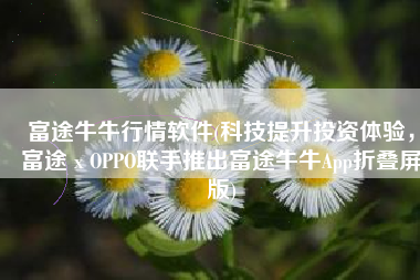 富途牛牛行情软件(科技提升投资体验，富途 x OPPO联手推出富途牛牛App折叠屏版)