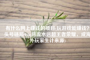 有什么网上赚钱的项目(玩游戏能赚钱？头号链游Axie月流水远超王者荣耀，成海外玩家生计来源)