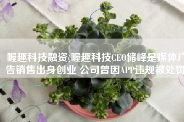 喔趣科技融资(喔趣科技CEO储峰是媒体广告销售出身创业 公司曾因APP违规被处罚)