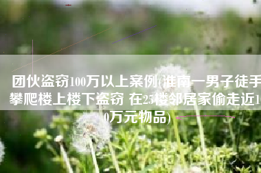 团伙盗窃100万以上案例(淮南一男子徒手攀爬楼上楼下盗窃 在25楼邻居家偷走近100万元物品)