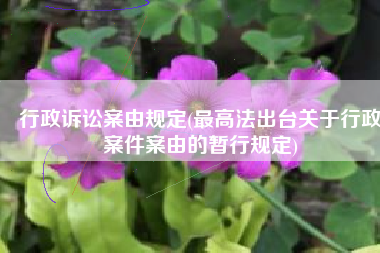 行政诉讼案由规定(最高法出台关于行政案件案由的暂行规定)