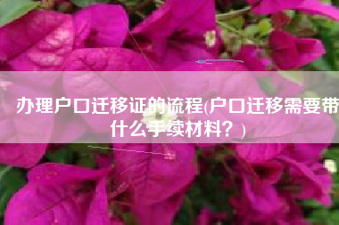 办理户口迁移证的流程(户口迁移需要带什么手续材料？)