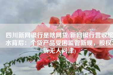 四川新网银行是啥网贷(新网银行营收缩水背后：个贷产品受困监管新规，股权7折无人问津)