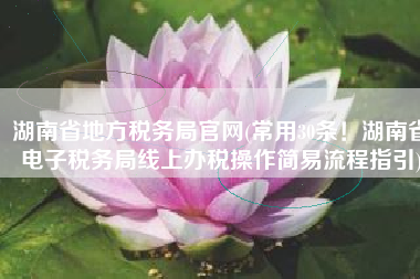湖南省地方税务局官网(常用30条！湖南省电子税务局线上办税操作简易流程指引)