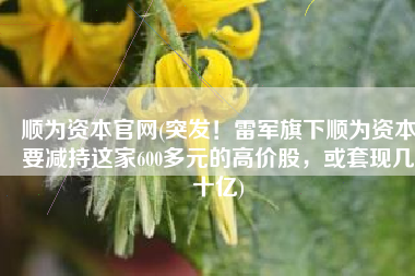 顺为资本官网(突发！雷军旗下顺为资本要减持这家600多元的高价股，或套现几十亿)