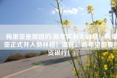 梅里亚是哪国的(新年就有大消息！梅里亚正式并入勃林格！温氏、新希望都要投资银行！)