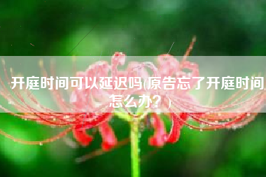 开庭时间可以延迟吗(原告忘了开庭时间，怎么办？)