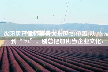 沈阳房产律师事务大东区724位置(从“996”到“724”，别总把加班当企业文化)