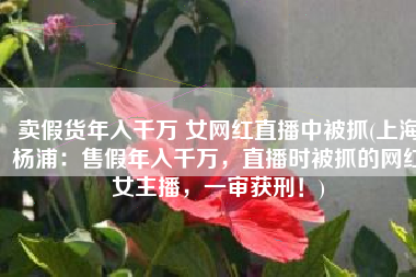 卖假货年入千万 女网红直播中被抓(上海杨浦：售假年入千万，直播时被抓的网红女主播，一审获刑！)