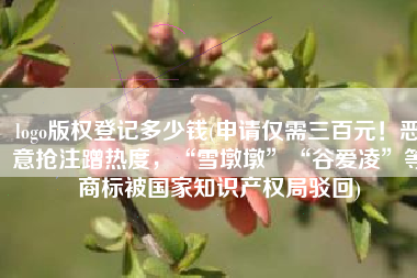 logo版权登记多少钱(申请仅需三百元！恶意抢注蹭热度，“雪墩墩”“谷爱凌”等商标被国家知识产权局驳回)