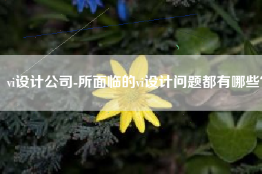 vi设计公司-所面临的vi设计问题都有哪些？