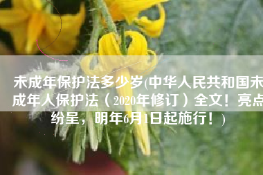 未成年保护法多少岁(中华人民共和国未成年人保护法（2020年修订）全文！亮点纷呈，明年6月1日起施行！)