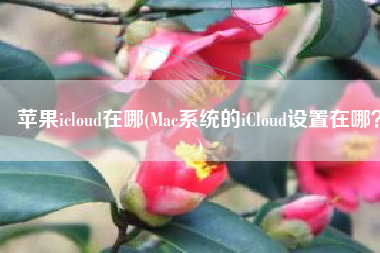 苹果icloud在哪(Mac系统的iCloud设置在哪？)