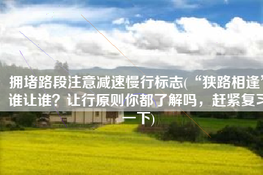 拥堵路段注意减速慢行标志(“狭路相逢”谁让谁？让行原则你都了解吗，赶紧复习一下)