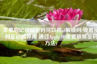 苹果忘记锁屏密码可以用id解锁吗(锁屏密码忘记被停用 通过Apple ID重置锁屏密码方法)