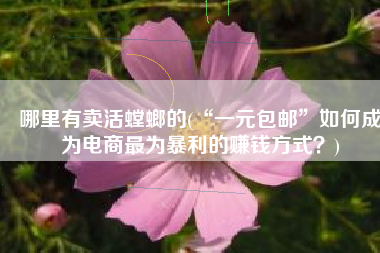 哪里有卖活螳螂的(“一元包邮”如何成为电商最为暴利的赚钱方式？)