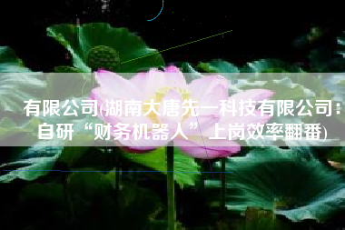 有限公司(湖南大唐先一科技有限公司：自研“财务机器人”上岗效率翻番)
