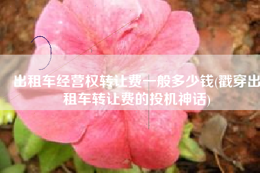 出租车经营权转让费一般多少钱(戳穿出租车转让费的投机神话)