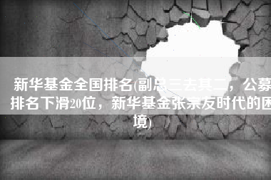 新华基金全国排名(副总三去其二，公募排名下滑20位，新华基金张宗友时代的困境)