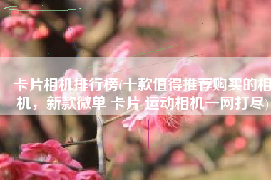 卡片相机排行榜(十款值得推荐购买的相机，新款微单 卡片 运动相机一网打尽)