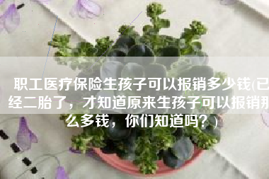 职工医疗保险生孩子可以报销多少钱(已经二胎了，才知道原来生孩子可以报销那么多钱，你们知道吗？)