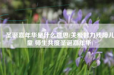 圣诞嘉年华是什么意思(关爱智力残障儿童 师生共度圣诞嘉年华)