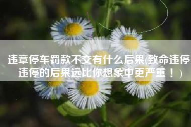 违章停车罚款不交有什么后果(致命违停！违停的后果远比你想象中更严重 ！)