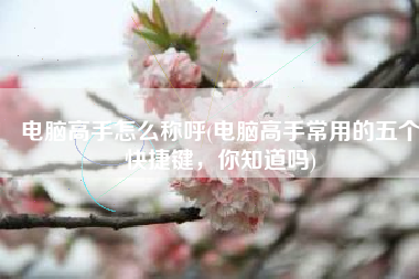 电脑高手怎么称呼(电脑高手常用的五个快捷键，你知道吗)