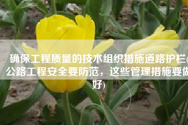 确保工程质量的技术组织措施道路护栏(公路工程安全要防范，这些管理措施要做好)
