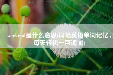 weekend是什么意思(词场英语单词记忆，每天轻松一百词 02)