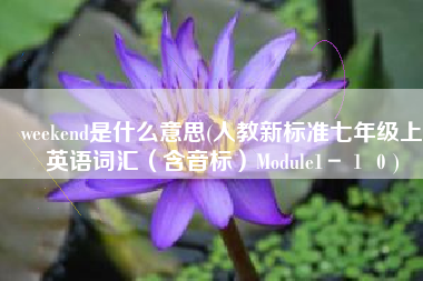 weekend是什么意思(人教新标准七年级上英语词汇（含音标）Module1－１０)