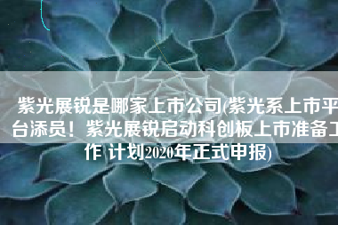 紫光展锐是哪家上市公司(紫光系上市平台添员！紫光展锐启动科创板上市准备工作 计划2020年正式申报)