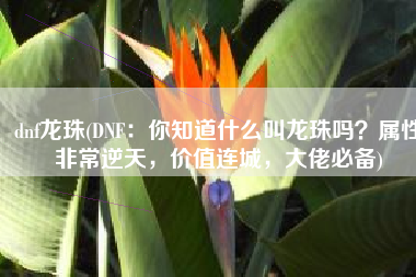 dnf龙珠(DNF：你知道什么叫龙珠吗？属性非常逆天，价值连城，大佬必备)