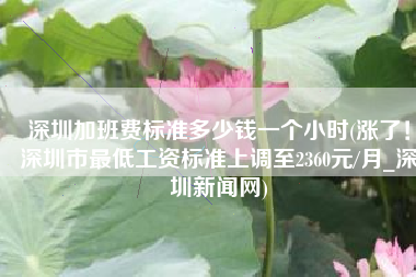 深圳加班费标准多少钱一个小时(涨了！深圳市最低工资标准上调至2360元/月_深圳新闻网)