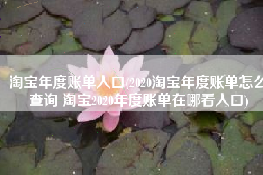 淘宝年度账单入口(2020淘宝年度账单怎么查询 淘宝2020年度账单在哪看入口)