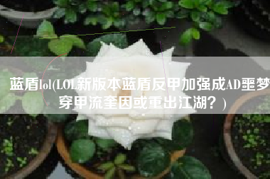 蓝盾lol(LOL新版本蓝盾反甲加强成AD噩梦 穿甲流奎因或重出江湖？)