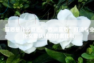 蓝盾是什么意思(“西湖蓝盾”打造专业化义警队伍的甘肃样板)