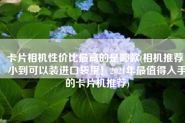 卡片相机性价比最高的是哪款(相机推荐：小到可以装进口袋里！2021年最值得入手的卡片机推荐)