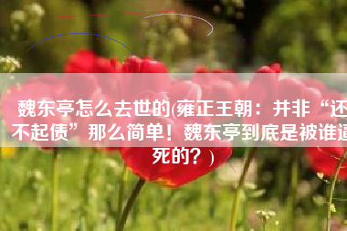 魏东亭怎么去世的(雍正王朝：并非“还不起债”那么简单！魏东亭到底是被谁逼死的？)