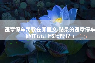 违章停车罚款在哪里交(贴条的违章停车能在12123上处理吗？)