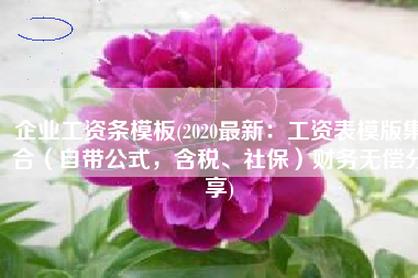 企业工资条模板(2020最新：工资表模版集合（自带公式，含税、社保）财务无偿分享)